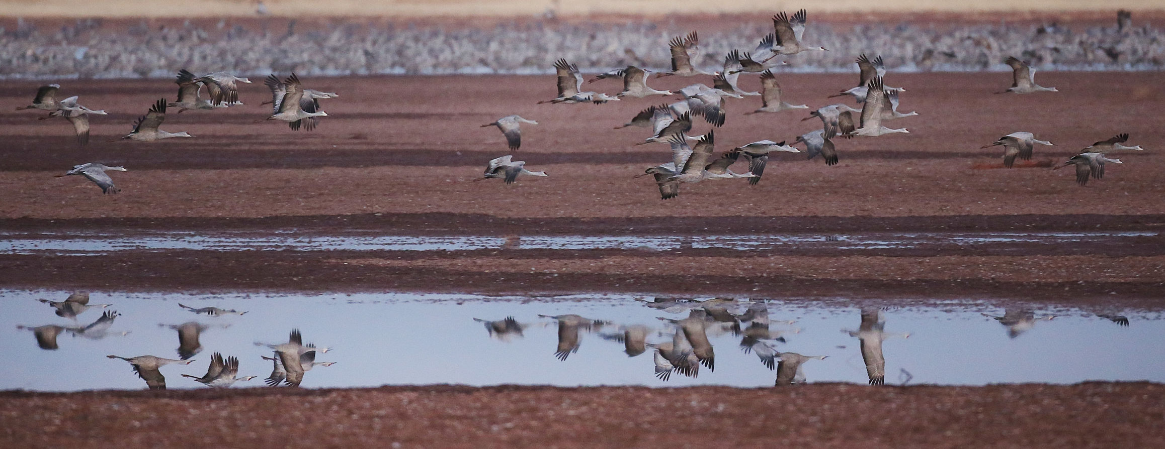 2018 Wings over Willcox